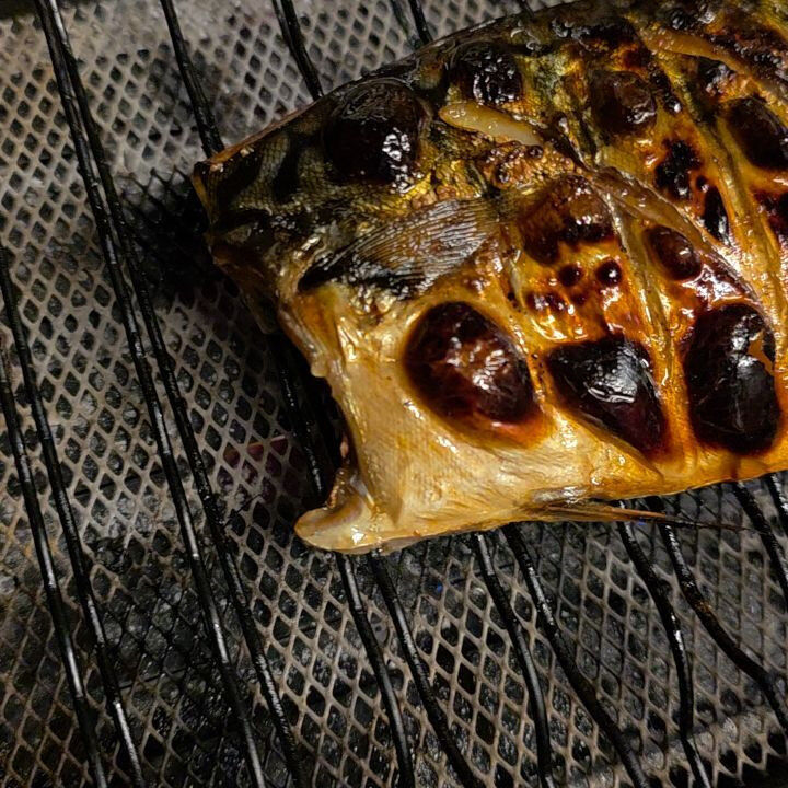 ​脂のりのり、ジュワッと香ばしい🐟🔥