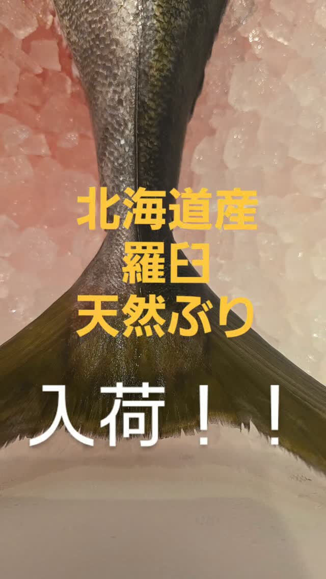 極上の秋の脂