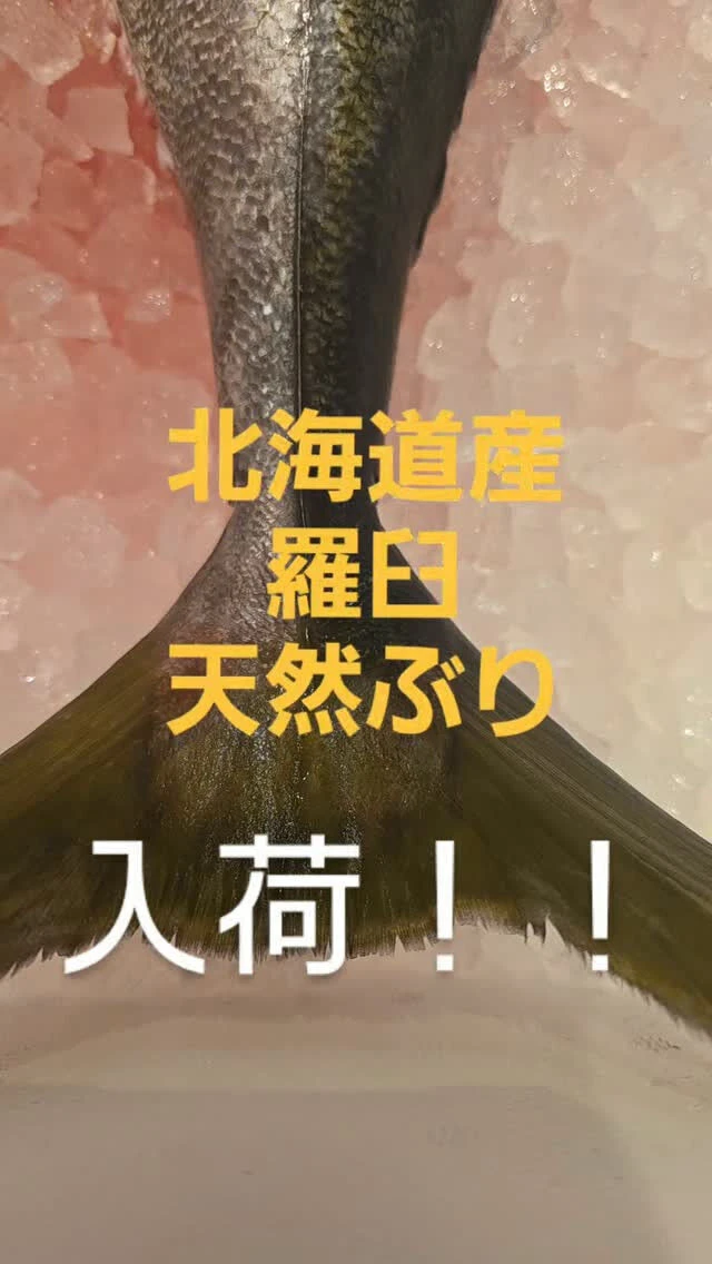 極上の秋の脂